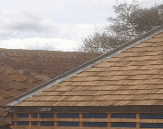 ElC oak single roofing